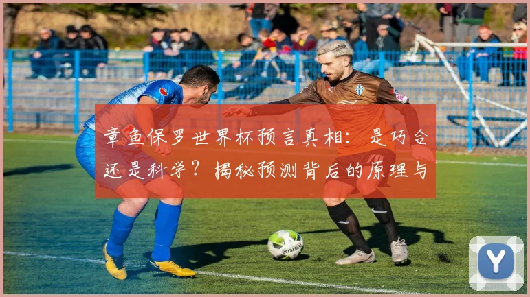 章鱼保罗世界杯预言真相：是巧合还是科学？揭秘预测背后的原理与操作